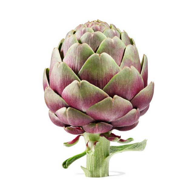 artichoke-01