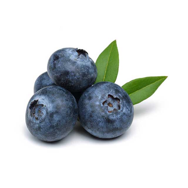 blue-berries-02