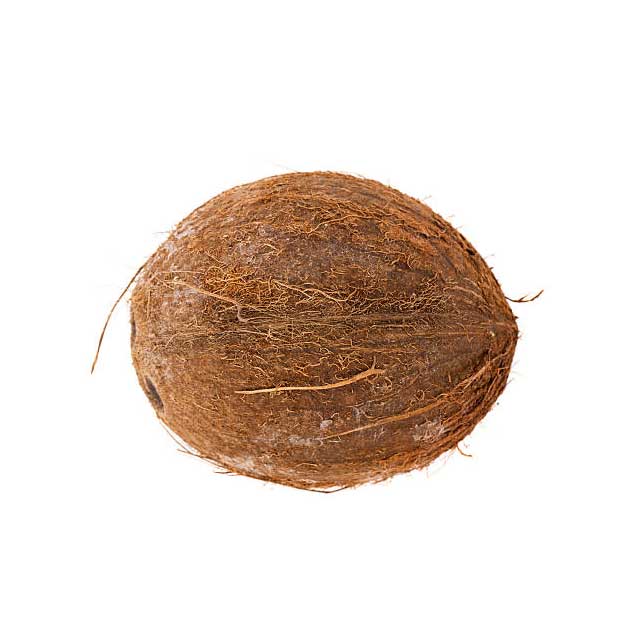 coconut-01