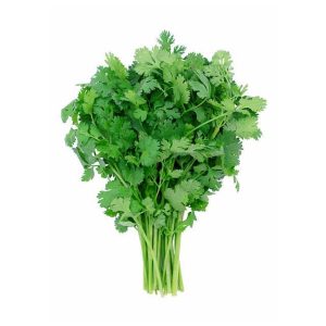 Coriander(dhania) - bunch