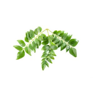 Curry leaves - bunch