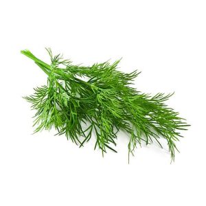 Dill - bunch