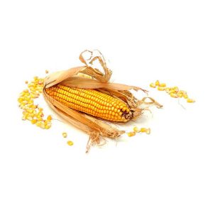 Dry Maize - 1 kg