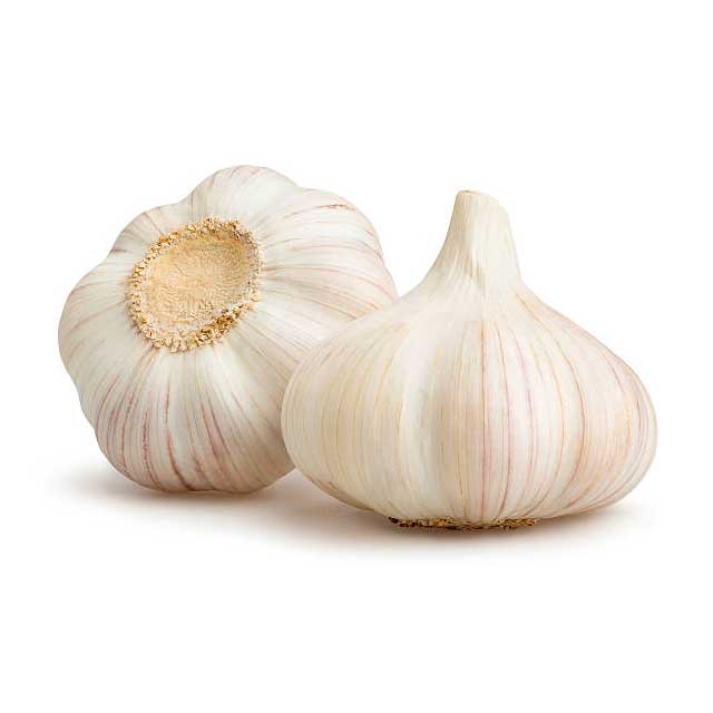 garlic-01