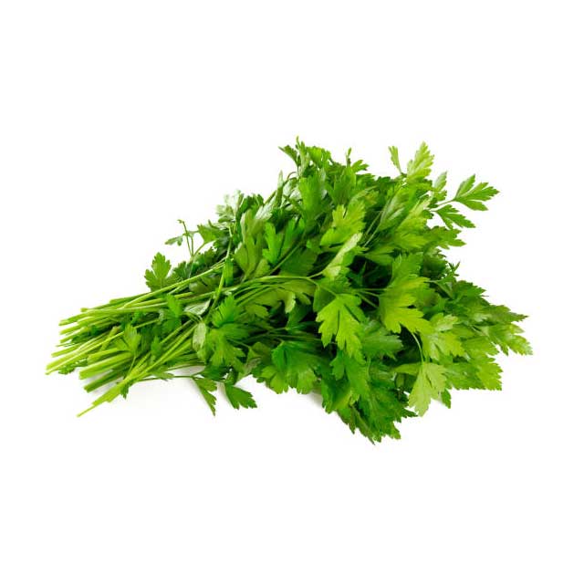 parsley-01