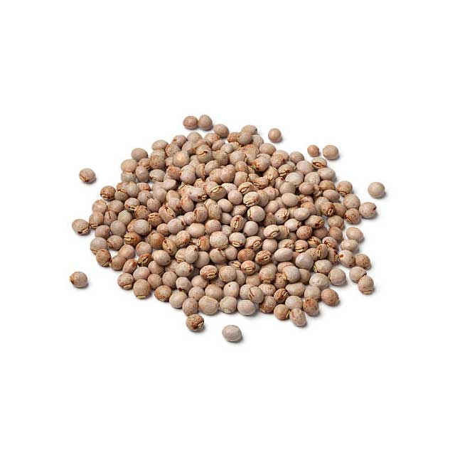 pigeon-peas-01