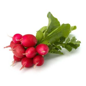 Radish - bunch