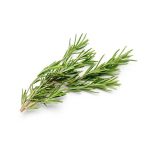 Rosemary - bunch