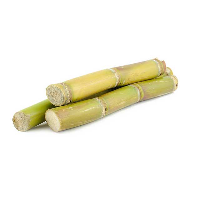 sugarcane-02