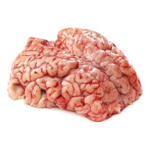 Brain - 1 kg