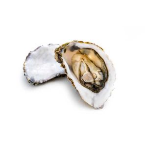 Oyster - 1 kg